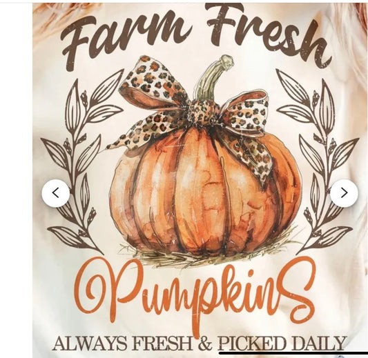 Farm fresh pumpkins